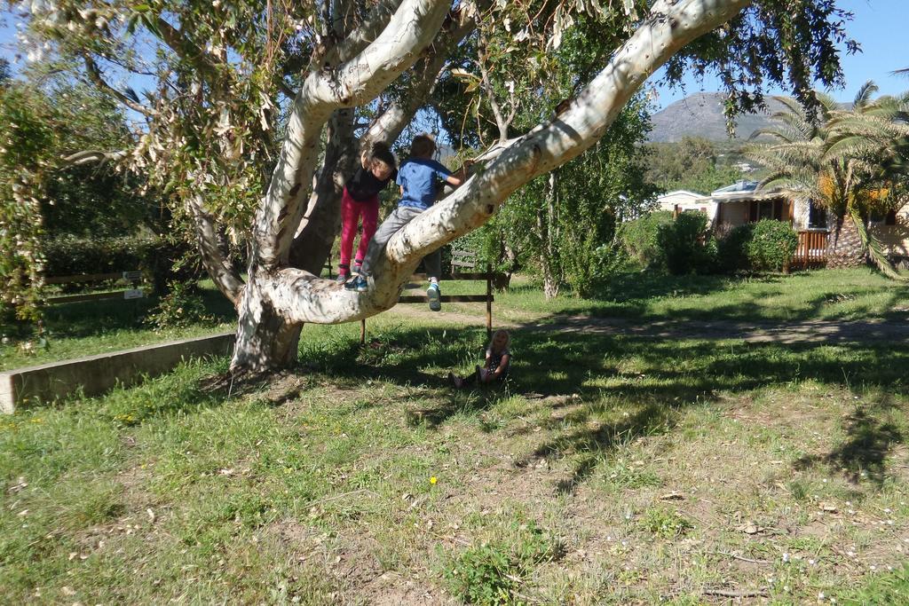 Camping Mobile Home U Sole Marinu Patrimonio Exterior photo